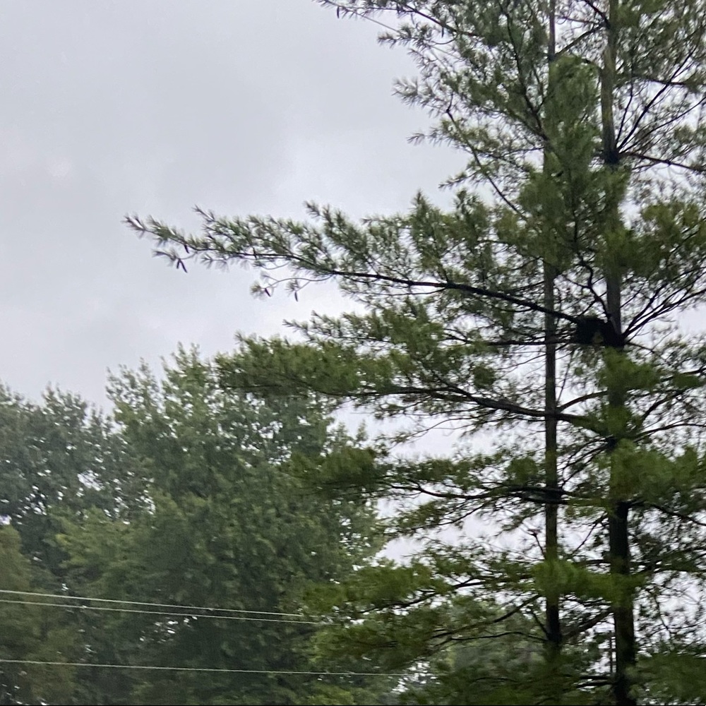 Meet your Posher, Annie